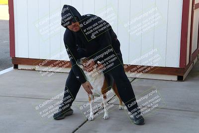 media/Mar-11-2024-Lets Ride (Mon) [[725e8a1c8d]]/Around the Pits/